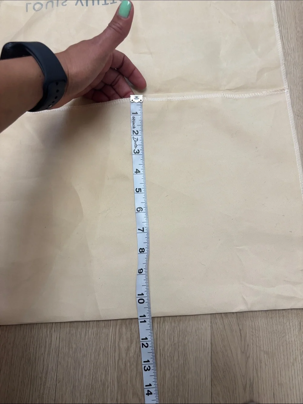 Louis Vuitton Dust bag Subcategory Identification